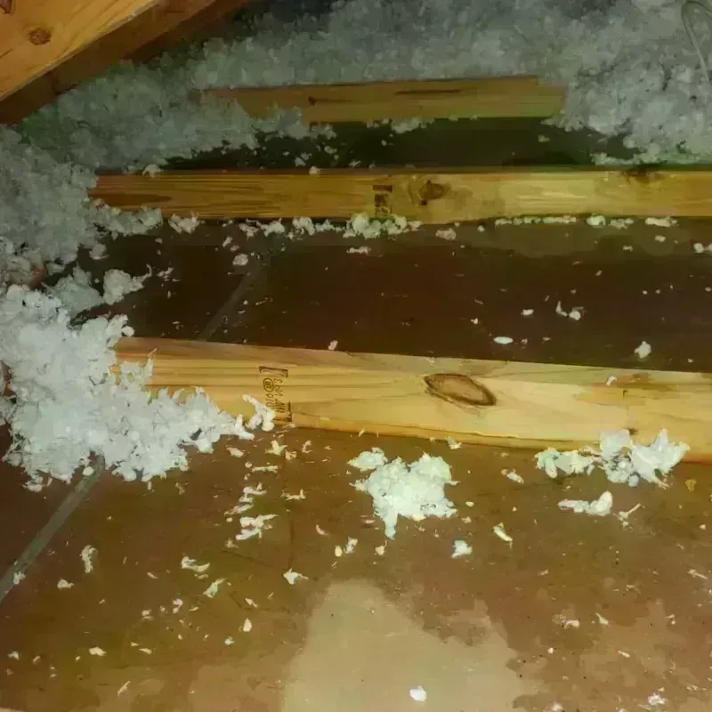 Attic Water Damage in Fitchburg, WI