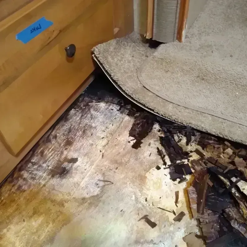 Wood Floor Water Damage in Fitchburg, WI